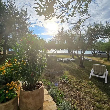 Olea 1930 - Charming For 2 With Sea View Lejlighed Zaton (Zadar)