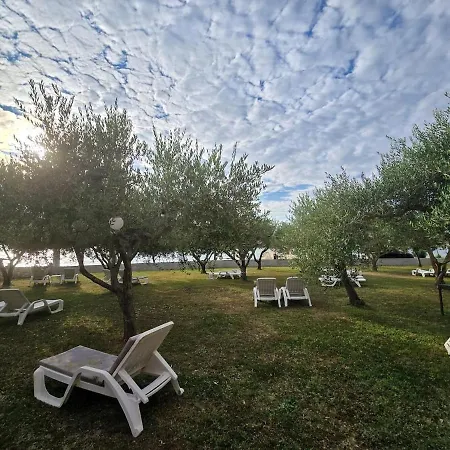Διαμέρισμα Olea 1930 - Charming For 2 With Sea View Zaton (Zadar)